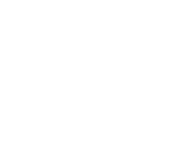logo-watermark
